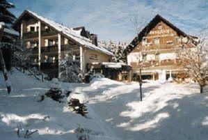 Hotel Berghof Willingen  Exterior photo
